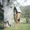 birdhouses